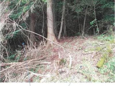 福島県田村市 農地 162万円の競売物件 #32