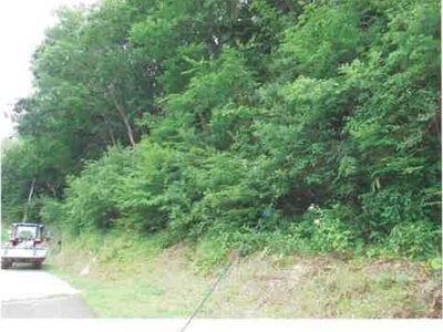 福島県田村市 農地 162万円の競売物件 #37