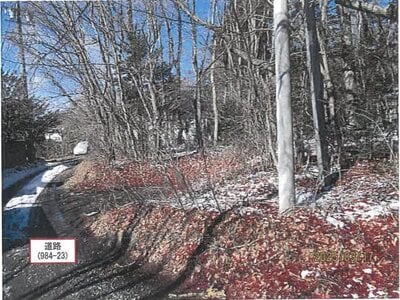 長野県北佐久郡軽井沢町 信濃追分駅3分 土地 1,215万円の競売物件 #4