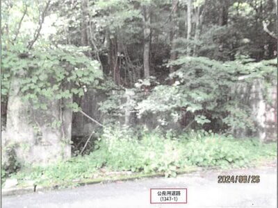(値下げ) 長野県北佐久郡軽井沢町 軽井沢駅 戸建て 158万円の競売物件 #2