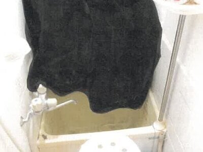 京都府京都市右京区 西院駅9分 戸建て 639万円の競売物件 #5
