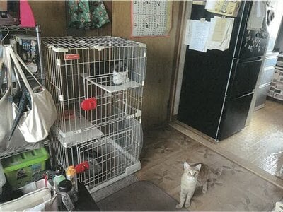 北海道釧路市 武佐駅 戸建て 265万円の競売物件 #14
