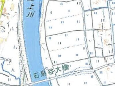 岩手県花巻市 石鳥谷駅 農地 26万円の競売物件 #4