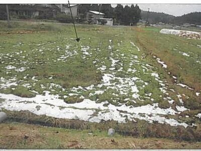 (値下げ) 秋田県由利本荘市 折渡駅 農地 1万円の競売物件 #3