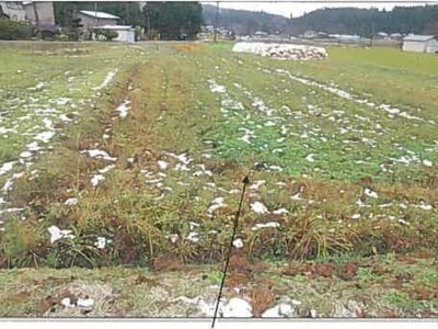 (値下げ) 秋田県由利本荘市 折渡駅 農地 1万円の競売物件 #1