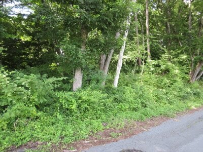 (値下げ) 群馬県吾妻郡長野原町 袋倉駅 土地 17万円の官公庁公売物件 #3