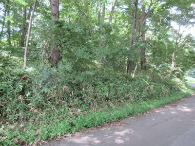 (値下げ) 群馬県吾妻郡長野原町 袋倉駅 土地 15万円の官公庁公売物件 #3
