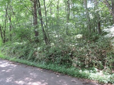(値下げ) 群馬県吾妻郡長野原町 袋倉駅 土地 15万円の官公庁公売物件 #4