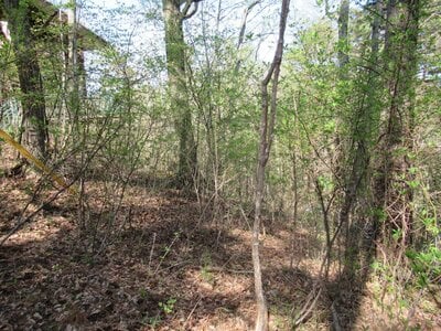 山梨県南都留郡鳴沢村 河口湖駅 土地 107万円の官公庁公売物件 #1
