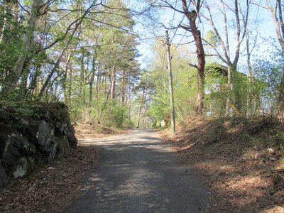 山梨県南都留郡鳴沢村 河口湖駅 土地 107万円の官公庁公売物件 #4
