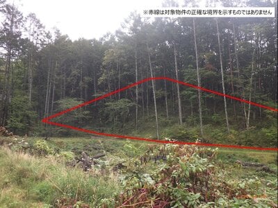(値下げ) 長野県北佐久郡御代田町 信濃追分駅 土地 66万円の官公庁公売物件 #1