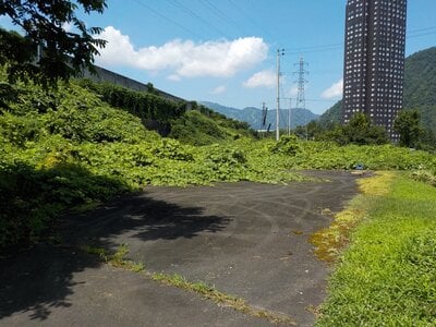 新潟県南魚沼郡湯沢町 岩原スキー場前駅6分 土地 224万円の官公庁公売物件 #5