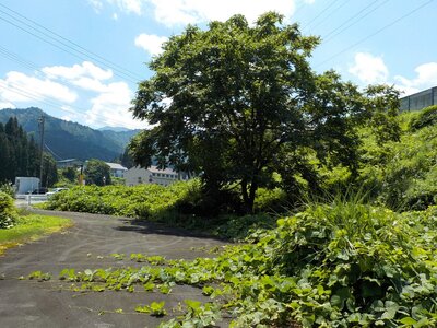 新潟県南魚沼郡湯沢町 岩原スキー場前駅6分 土地 224万円の官公庁公売物件 #7