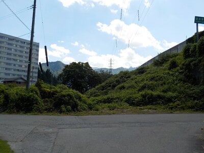 新潟県南魚沼郡湯沢町 岩原スキー場前駅6分 土地 224万円の官公庁公売物件 #8