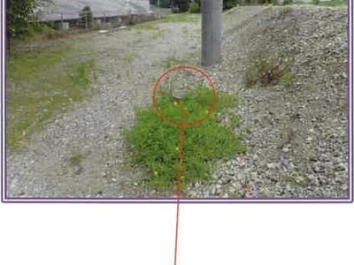 静岡県牧之原市 戸建て 132万円の競売物件 #7