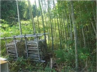 (値下げ) 静岡県藤枝市 藤枝駅 農地 86万円の競売物件 #3