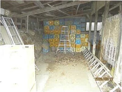 静岡県賀茂郡東伊豆町 伊豆稲取駅8分 戸建て 827万円の競売物件 #21