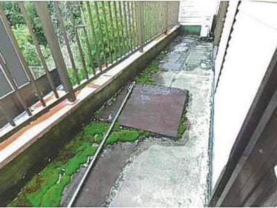 兵庫県洲本市 戸建て 59万円の競売物件 #13