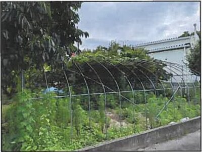 (値下げ) 広島県広島市安佐南区 祇園新橋北駅4分 農地 344万円の競売物件 #5