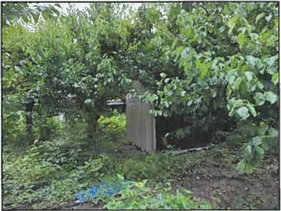 (値下げ) 広島県広島市安佐南区 祇園新橋北駅4分 農地 344万円の競売物件 #8