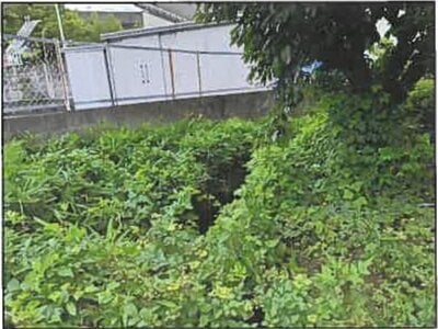 (値下げ) 広島県広島市安佐南区 祇園新橋北駅4分 農地 344万円の競売物件 #9