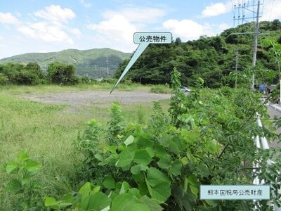 (値下げ) 熊本県葦北郡津奈木町 津奈木駅17分 農地 322万円の国税庁公売物件 #4
