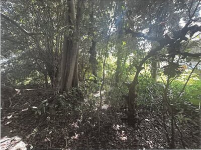 (値下げ) 佐賀県神埼郡吉野ヶ里町 神埼駅16分 戸建て 115万円の競売物件 #18