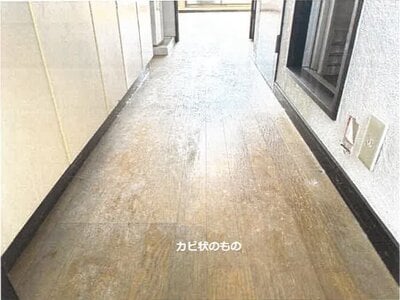 佐賀県佐賀市 佐賀駅 戸建て 1,712万円の競売物件 #15