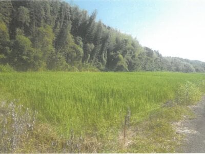 (値下げ) 大分県速見郡日出町 大神駅10分 農地 32万円の競売物件 #1