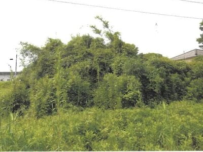 (値下げ) 大分県速見郡日出町 大神駅17分 農地 57万円の競売物件 #3