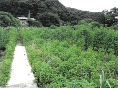 (値下げ) 群馬県桐生市 天王宿駅13分 土地 137万円の競売物件 #1