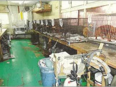 北海道岩見沢市 幌向駅8分 戸建て 247万円の競売物件 #11