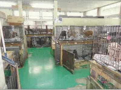 北海道岩見沢市 幌向駅8分 戸建て 247万円の競売物件 #12