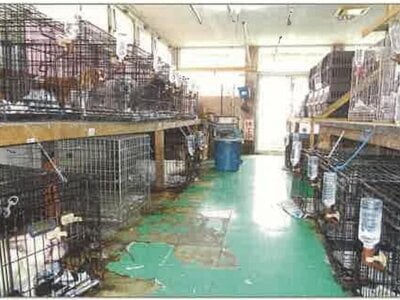 北海道岩見沢市 幌向駅8分 戸建て 247万円の競売物件 #13