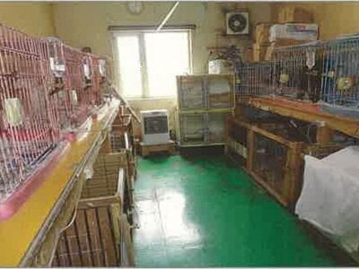 北海道岩見沢市 幌向駅8分 戸建て 247万円の競売物件 #14