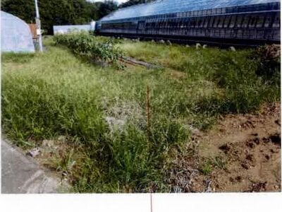 愛知県田原市 三河田原駅 農地 24万円の競売物件 #3