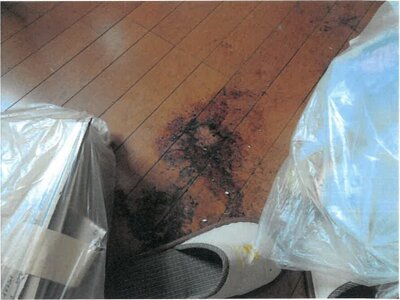 大阪府枚方市 牧野駅12分 戸建て 1,244万円の競売物件 #13