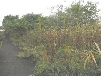(値下げ) 富山県滑川市 西滑川駅6分 土地 193万円の競売物件 #4