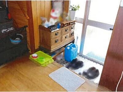 (値下げ) 島根県江津市 都野津駅5分 戸建て 143万円の競売物件 #10