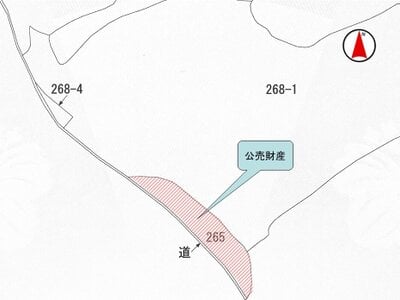 兵庫県洲本市 戸建て 66万円の国税庁公売物件 #2