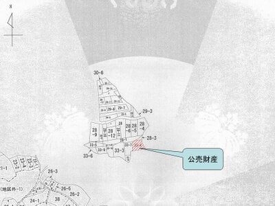 大阪府阪南市 尾崎駅12分 土地 776万円の国税庁公売物件 #3