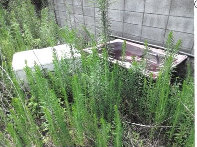 群馬県桐生市 新桐生駅16分 土地 155万円の競売物件 #4