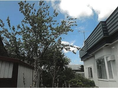 北海道網走郡津別町 戸建て 61万円の競売物件 #9