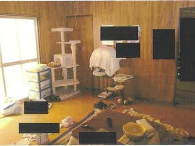 (値下げ) 兵庫県西宮市 西宮名塩駅24分 戸建て 155万円の競売物件 #7