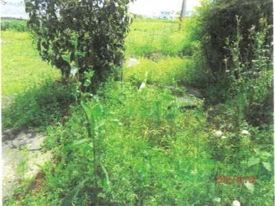 徳島県吉野川市 川田駅11分 戸建て 289万円の競売物件 #23