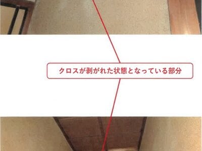 (値下げ) 徳島県徳島市 徳島駅16分 戸建て 313万円の競売物件 #13