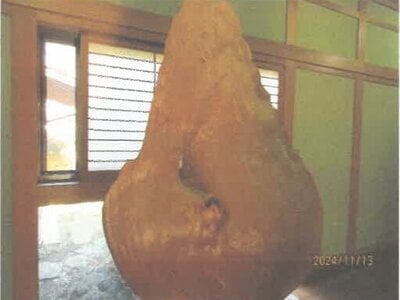 (値下げ) 徳島県吉野川市 鴨島駅7分 戸建て 3,436万円の競売物件 #26