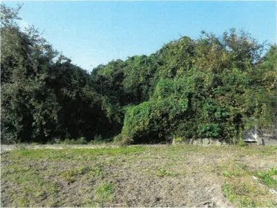 徳島県吉野川市 鴨島駅19分 戸建て 696万円の競売物件 #22