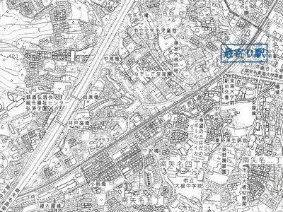 (値下げ) 神奈川県秦野市 東海大学前駅18分 土地 42万円の競売物件 #3