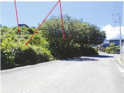 (値下げ) 神奈川県足柄下郡湯河原町 真鶴駅10分 農地 1,699万円の競売物件 #2